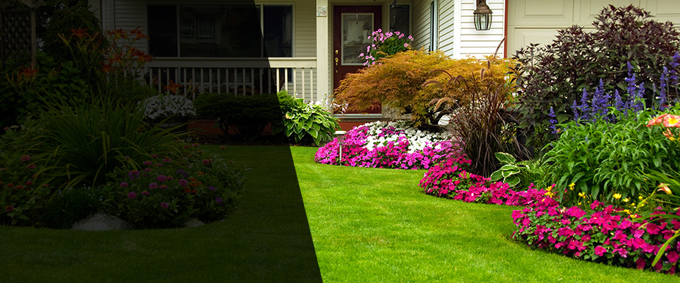 Bush Landscapers