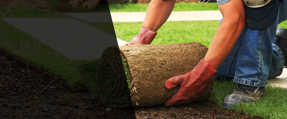 Bush Landscapers
